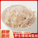 【特价5斤】新鲜海蜇丝凉拌菜海蜇丝正宗非即食野生脆爽小凉菜 野生珊瑚海蜇丝【5斤桶装高品质】新鲜直达 清脆爽口有嚼劲【品质保障】无杂质（固体物60%）