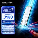 致态（ZhiTai）长江存储 2TB SSD固态硬盘 NVMe M.2接口 TiPlus9100 系列 (PCIe 5.0 产品)