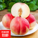 【软硬两吃】山西水蜜桃毛桃当季时令水果整箱新鲜桃子水蜜桃 【限量抢购】2斤超大果水蜜桃