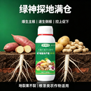 绿神探地满仓 地下根茎生根壮根膨根肥料冲施肥通用型化肥 买二送一（到手3瓶）控上促下，养分生根