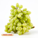 新疆无籽露葡萄450g