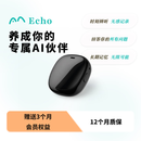 w/ECHO养成你的专属AI伙伴 Echo 智能设备 记录了解陪伴 录音 会议 withecho AI助理 Echo A1 黑色