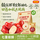 好想你特级锁鲜枣1000g 新疆特产大枣蜜饯孕妇零食 特级锁鲜枣500g*2