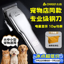 志高（CHIGO）宠物剃毛器狗狗电推剪理发器电推子剃毛刀美容造型宠物猫咪剃毛器F1198毕业礼物