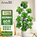 爱优尚造型鸭脚木客厅大盆栽室内鸭掌木八方来财落地大型植物源头直发