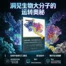 结构生物学：从原子到生命（原书第二版）/结构生物学/分子生物学/结构生物/生物物理/生命科学名著/展现了从生物大分子的原子结构到重要生命活动的内在联系和基本原理。