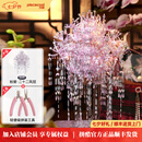 拼酷粉黛二十二凤冠 粉冠粉红色凤冠 3d金属立体拼图七夕情人节礼物 粉黛二十二凤冠+粉色工具套装