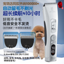玄鸟宠物剃毛器狗狗电推剪专业留毛电推剪宠物店专用泰迪P100+6.4刀头