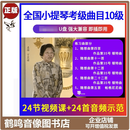 正版 全国小提琴考级曲目辅导示范 U盘版(DVD升级版) 10级教学视频+示范音频课程十级 音乐自学入门视频音频教程优盘