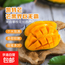 【东东农场专供】四季凯特芒新鲜当季特产水果现摘芒果 单果400g+（带箱子1斤）