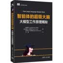 智能体的超级大脑：大模型工作原理揭秘