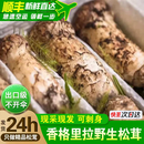 土地母亲计划 香格里拉新鲜松茸野生菌汤煲汤未开伞松茸中秋送礼团购礼盒 精选未开伞5-6cm 净重501g