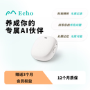 w/ECHO养成你的专属AI伙伴 Echo 智能设备 记录了解陪伴 录音 会议 withecho AI助理 Echo A1 白色