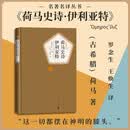 名著名译精装：荷马史诗·伊利亚特  名著 经典 小说 阅读 假期 学生 正版 人民文学出版社