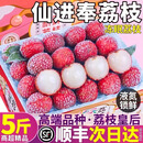 玢果萱广东增城冻眠仙进奉荔枝【顺丰冷链】液氮冷冻荔枝高端礼盒装 冻眠荔枝仙进奉2斤精选装-无礼盒【恒温箱+干冰发货】