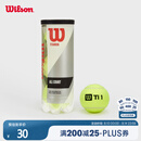 Wilson威尔胜TITANIUM 训练网球罐装 3颗装【球上数字随机】
