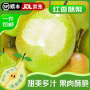 同甘园JD/顺丰梨红香酥梨皮薄多汁香甜脆甜无渣小香梨当季孕妇山西水果 整箱5斤精选90-130g 净重4.5斤