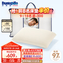 邓禄普（Dunlopillo）男人枕 荷兰进口特拉雷Talalay天然乳胶 物理发泡工艺