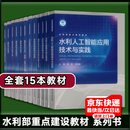 全套15本水利部重点建设教材数字孪生流域四预网络空间安全体系工程BIM技术智能大坝理念与实践大数据与知识图谱遥感