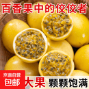 京喜加钦蜜9号百香果新鲜水果生鲜海南特产 5个装【45-60克】皱皮更甜