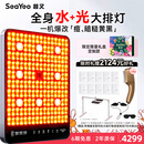 SEAYEO七夕礼物  昔又大排灯Max光子嫩肤美容仪红蓝光面罩面膜仪家用美容仪器 MAX