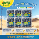 怡颗莓Driscoll's秘鲁进口蓝莓大果18mm+ 6盒125g/盒新鲜水果 中秋送礼