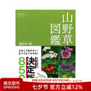【预售】山野草图鉴 大きくて见やすい! 比べてよくわかる! 山野草図鉴 原版日文艺术