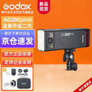 神牛AD200proII二代闪光灯外拍补光灯高速同步频闪便携摄影补光灯户外摄影灯【官方标配】