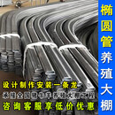 乐子君养殖大棚全套蔬菜大棚钢管骨架养鸡鹅猪舍牛棚羊圈6m*25m标配版