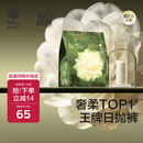babycare爆款山茶花一次性内裤女孕妇日抛出差旅行XXL码15条【安全灭菌】