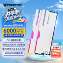 宏碁掠夺者（PREDATOR）48G(24G×2)套装 DDR5 6000频率 台式机内存条 Hermes冰刃系列 RGB灯条(C28) 白色 AI电脑配件