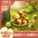 京鲜生陕西大荔冬枣 净重3斤 单果22g+ 生鲜水果 源头直发包邮