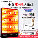 SEAYEO昔又大排灯Max光子嫩肤美容仪红蓝光面罩面膜仪家用美容仪器 套餐一：Max+超膜刀+面膜*10片+专用版支架