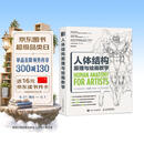 人体结构原理与绘画教学 肖玮春 人物结构造型绘画零基础入门 赠人体动态海报+视频 绘客出品