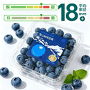 香格里拉雪山秘境大蓝莓 125g （18mm） 