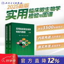 现货 实用临床微生物学检验与图谱 上下册 陈东科病原微生物技术方法病原体流行病学分析病毒细菌真菌寄生虫鉴定药敏试验医院感染监测百科 实用临床微生物学检验与图谱（上下册）
