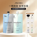 资生堂专业美发（SHISEIDO PROFESSIONAL）光润水晶直发膏免拉家用久软化剂烫染 （N健康发质）+中和乳