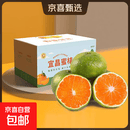 宜昌蜜桔青皮蜜橘酸甜多汁现摘蜜桔生鲜水果彩箱礼盒装家庭实惠装 带箱4斤净重3.7斤彩箱礼盒-家庭实惠装 单果60mm+