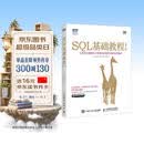 SQL基础教程 第2版(图灵出品)