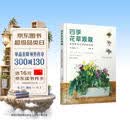 四季花草混栽：享受种花与插花的乐趣