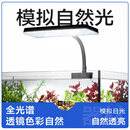 YEE鱼缸灯LED水草灯全光谱迷你夹灯增艳观赏小型造景鱼缸专用灯10.4w