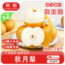 京觅山东烟台莱阳头茬秋月梨 净重8斤大果 单果300g+ 源头直发包邮