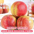【秋冬桃王】山东青州水蜜桃青州蜜桃老式桃子水果软硬两吃 【老式桃子】4-8粒大果青州蜜桃
