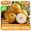 京鲜生山东莱阳秋月梨 净重8斤 单果300g+ 生鲜水果 源头直发