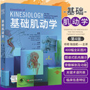 基础肌动学 解剖列车第4版 2023新版简体中文第四版 身体解读 徒手与动作治疗的肌筋膜经线 彩色人体解剖学结构 北京科学技术出版社 新华书店正版包邮 基础肌动学 第4版