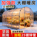 坚固力大棚