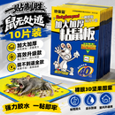 地依猫粘鼠板老鼠贴捕鼠家用老鼠一窝端神器灭捕鼠大号粘板10片装