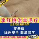 李红老师5套定位截根全息挑治羊毛疔疗法高清视频U盘发货中医外治 U盘发货 5套课程