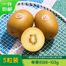 佳沛（zespri）新西兰金奇异果猕猴桃 5粒装 单果约88-103g 水果源头直发