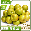 京鲜生安徽砀山青皮青翠蜜梨净重4.5斤单果200g-250+新鲜水果 源头直发